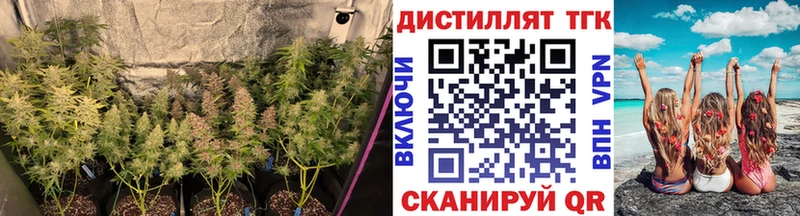 ТГК вейп с тгк Биробиджан
