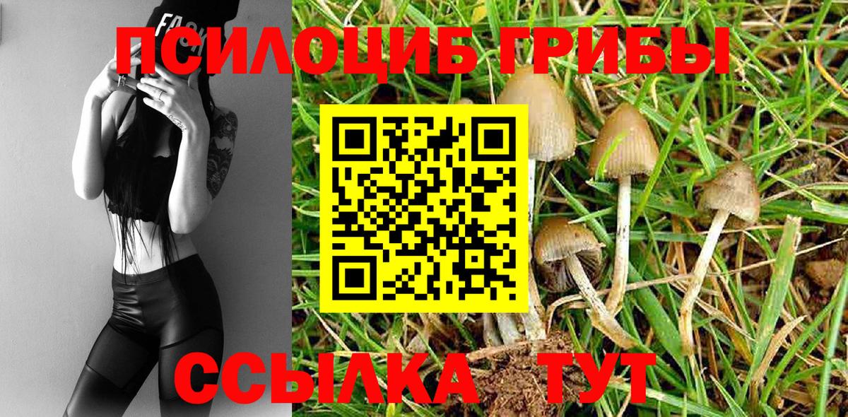 Биробиджан  Галлюциногенные грибы Cubensis  Вход с VPN  Псилоцибиновые грибы Psilocybine cubensis 