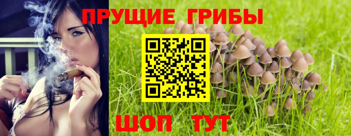 Галлюциногенные грибы мухоморы Биробиджан